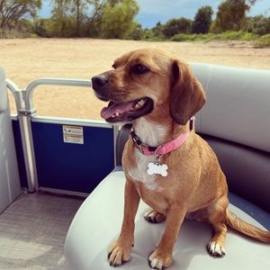 Meet your Posher, Ruth